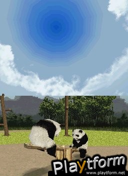 National Geographic Panda (DS)