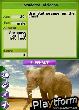 Zoo Vet: Endangered Animals (DS)