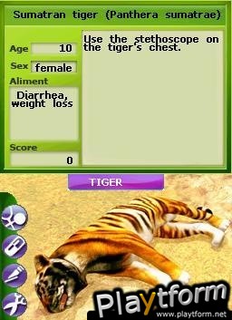 Zoo Vet: Endangered Animals (DS)