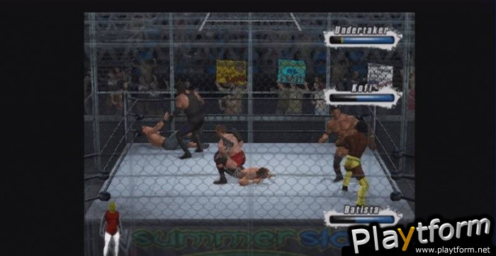 WWE SmackDown vs. Raw 2009 (PlayStation 2)