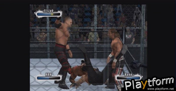 WWE SmackDown vs. Raw 2009 (PlayStation 2)