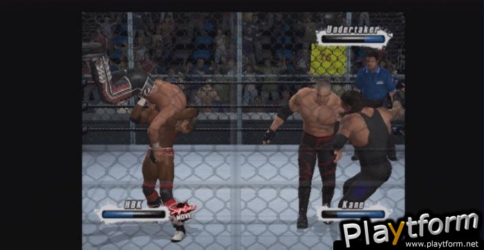 WWE SmackDown vs. Raw 2009 (PlayStation 2)