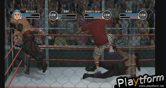 WWE SmackDown vs. Raw 2009 (Wii)