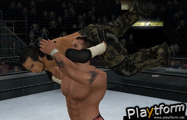 WWE SmackDown vs. Raw 2009 (Wii)