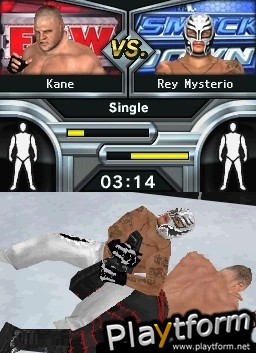 WWE SmackDown vs. Raw 2009 (DS)