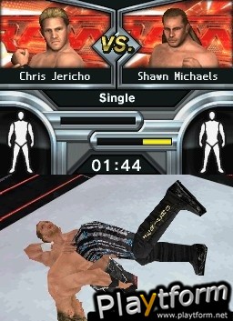 WWE SmackDown vs. Raw 2009 (DS)