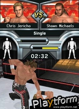 WWE SmackDown vs. Raw 2009 (DS)