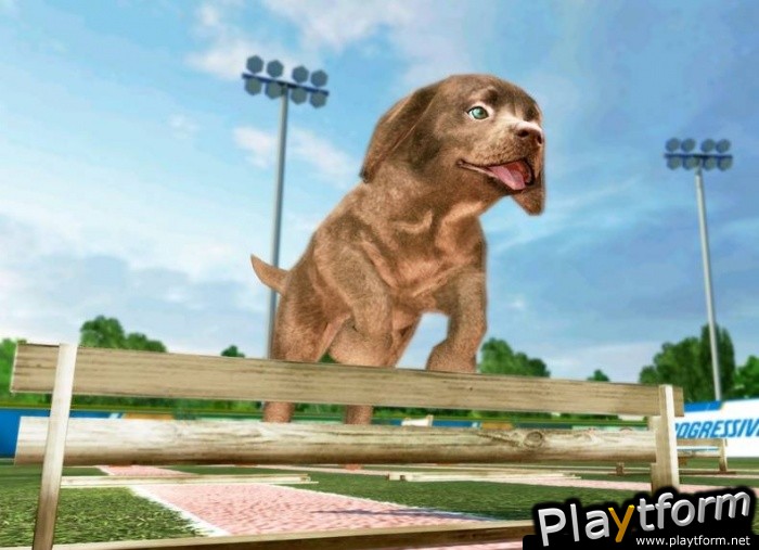 Petz Sports: Dog Playground (Wii)