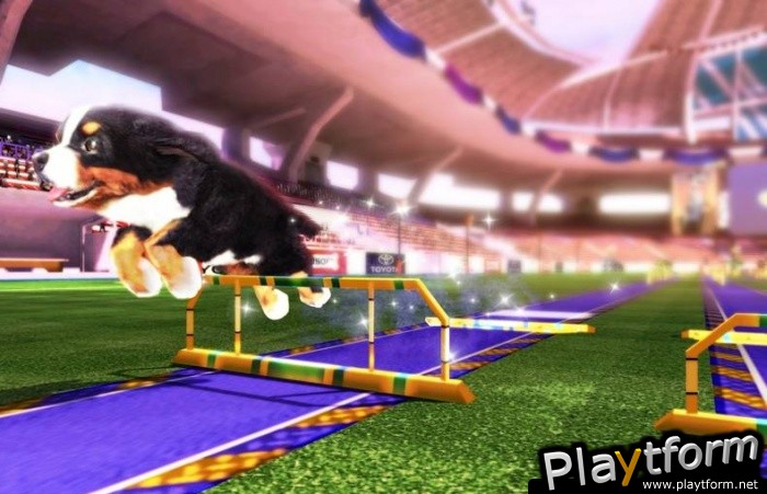 Petz Sports: Dog Playground (Wii)