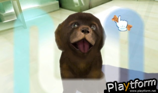 Petz Sports: Dog Playground (Wii)