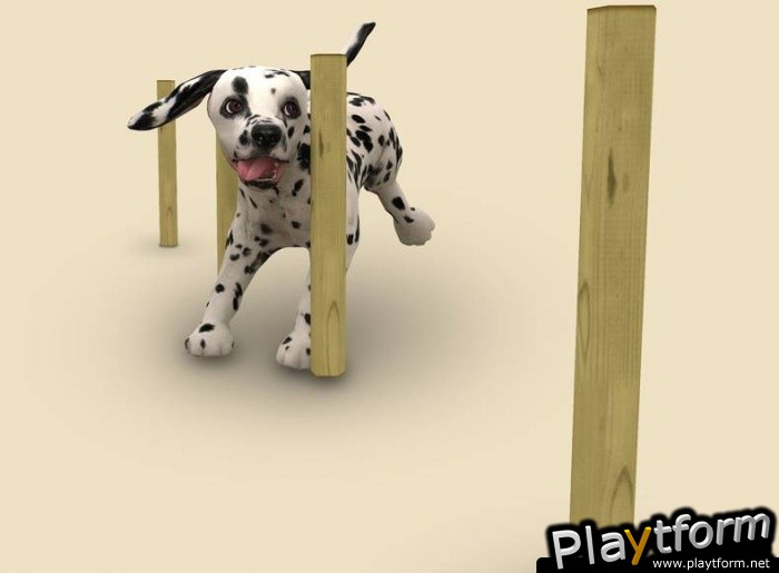 Petz Sports: Dog Playground (Wii)