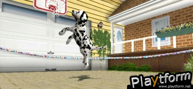 Petz Sports: Dog Playground (Wii)