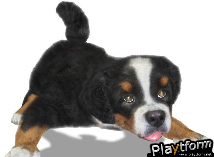 Petz Sports: Dog Playground (Wii)