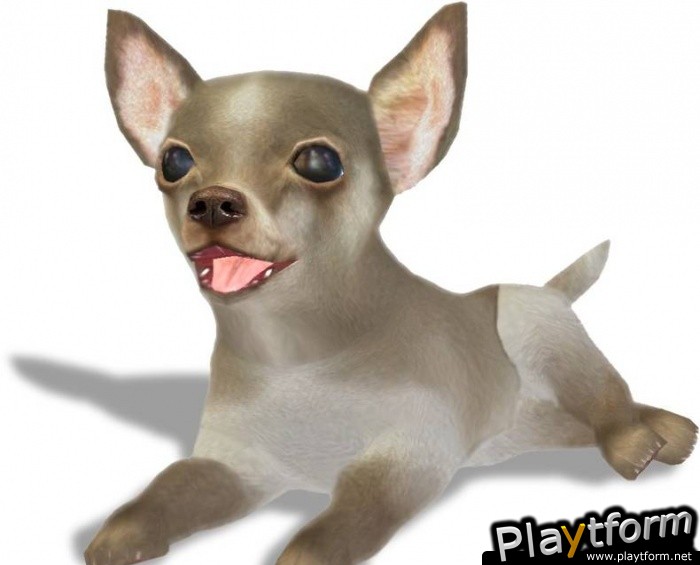 Petz Sports: Dog Playground (Wii)