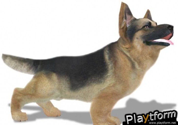 Petz Sports: Dog Playground (Wii)