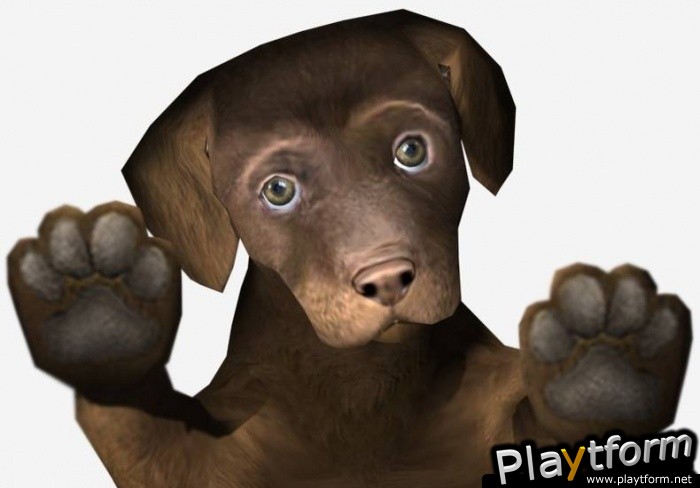 Petz Sports: Dog Playground (Wii)