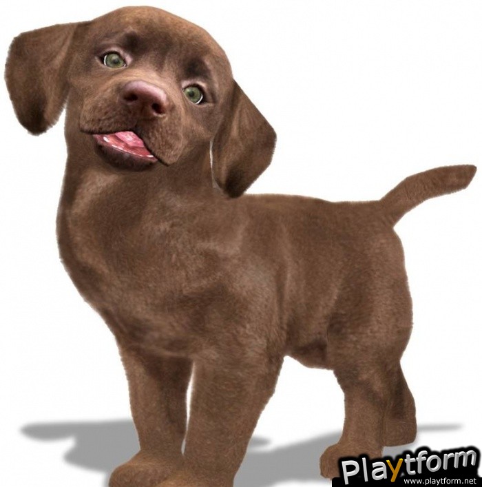 Petz Sports: Dog Playground (Wii)