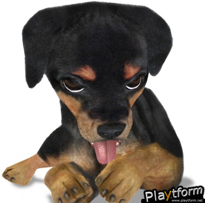 Petz Sports: Dog Playground (Wii)