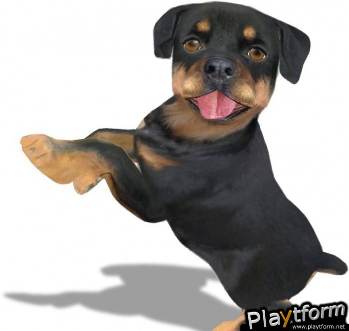 Petz Sports: Dog Playground (Wii)