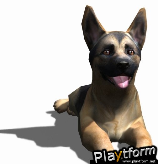 Petz Sports: Dog Playground (Wii)