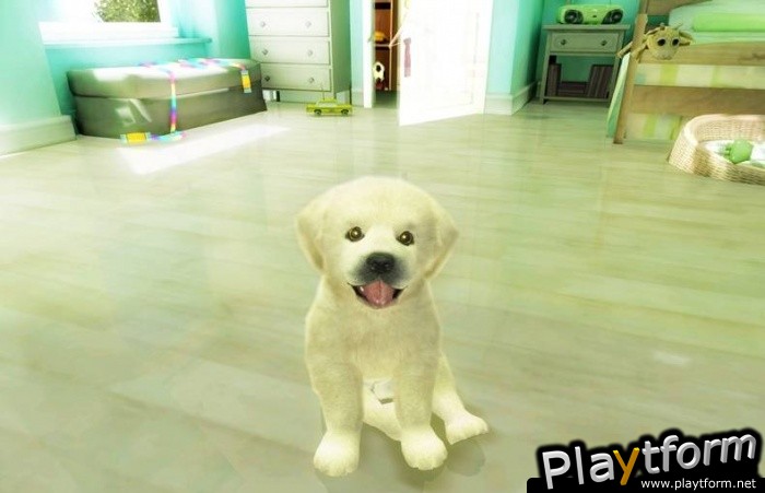 Petz Sports: Dog Playground (Wii)