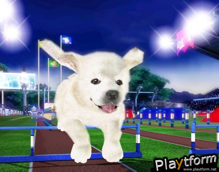 Petz Sports: Dog Playground (Wii)