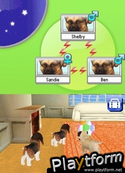 Petz Dogz Pack (DS)