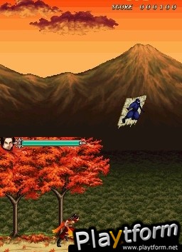 The Legend of Kage 2 (DS)