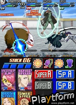 Bleach: Dark Souls (DS)