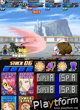 Bleach: Dark Souls (DS)