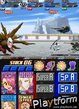 Bleach: Dark Souls (DS)