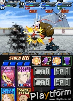 Bleach: Dark Souls (DS)