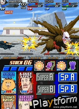 Bleach: Dark Souls (DS)