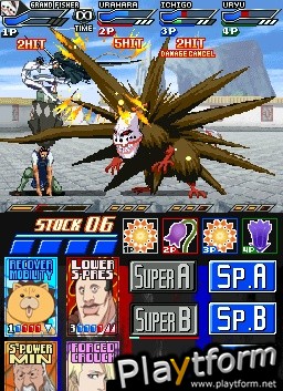 Bleach: Dark Souls (DS)