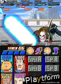 Bleach: Dark Souls (DS)