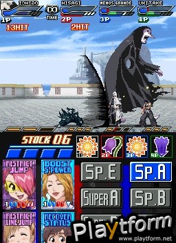 Bleach: Dark Souls (DS)