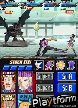 Bleach: Dark Souls (DS)