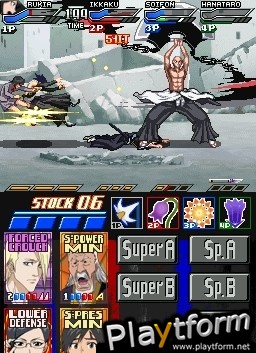 Bleach: Dark Souls (DS)