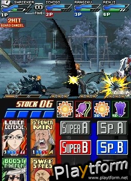 Bleach: Dark Souls (DS)