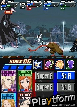 Bleach: Dark Souls (DS)