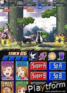 Bleach: Dark Souls (DS)