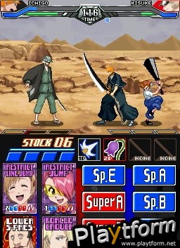 Bleach: Dark Souls (DS)