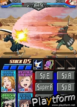 Bleach: Dark Souls (DS)