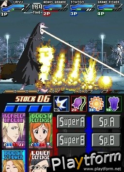 Bleach: Dark Souls (DS)