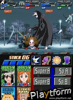 Bleach: Dark Souls (DS)