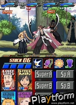 Bleach: Dark Souls (DS)