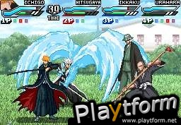 Bleach: Dark Souls (DS)