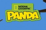 National Geographic Panda (DS)