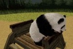 National Geographic Panda (DS)