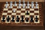 Chess Online expert (iPhone/iPod)